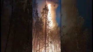 В Олекминском районе Якутии в районе п. Заречный идет битва с огнем. #якутия #russia #пожар #лесной