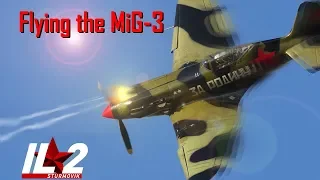 Flying the Mikoyan-Gurevich MiG-3 [IL-2 Sturmovik: BOS]