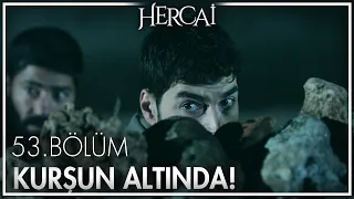 Miran'ın hayatı tehlikede! - Hercai 53. Bölüm