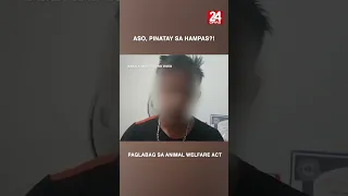 Aso, patay matapos paulit-ulit hampasin ng isang lalaki #shorts | 24 Oras