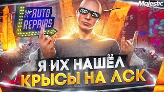 Я ИХ НАШЁЛ! КРЫСЫ НА МОЕЙ ЛСК! +СХЕМА ПЕРЕКУПСТВА НА СТАРТЕ СЕРВЕРА - GTA 5 RP/ MAJESTIC RP