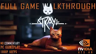 STRAY Gameplay Walkthrough FULL GAME [1080p 60FPS PC] - No Commentary