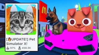 I Created a REALISTIC Pet Simulator X Game!