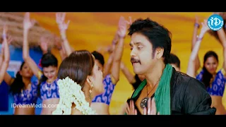 Osina Bangaram Song - Greeku Veerudu Movie Songs - Nagarjuna - Nayantara - S Thaman Songs