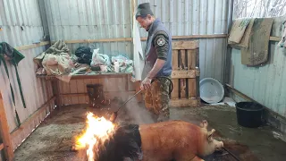 Смаління з Мішком‼️Комусь Солома комусь,Колеса🔥👍,а нам Мішковина