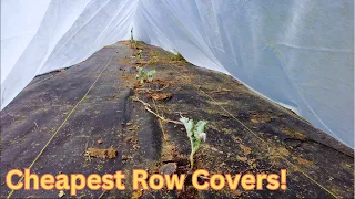 EASY Row Covers! - No Hoops, No PVC, No Wire!