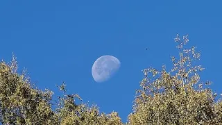 RISPOSTA: perché la Luna si vede anche di giorno?