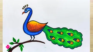 How to draw a peacock | Peacock drawing step by step | How to draw peacock with colour easy way