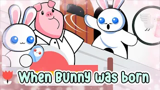 A Pretty Odd Bunny Shorts: When Bunny was born