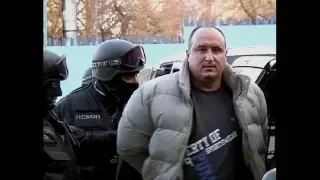 Bulgarian Mafia