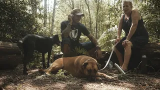 Ferocious Dog (feat. Hazel O'Connor) - Will You? - Official Video