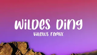 Culcha Candela - Wildes Ding (Valexus Remix)