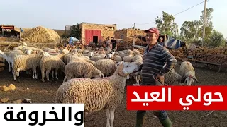 أضاحي العيد عند الفلاح إيعيش نواحي تاوجطات سنوات من التجربة في تربية الأغنام 0601553070 فرجة ممتعة