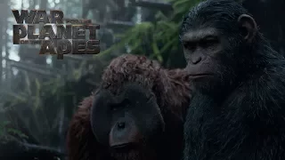 War for the Planet of the Apes |「 MV 」| Legends Never Die ft  Against The Current