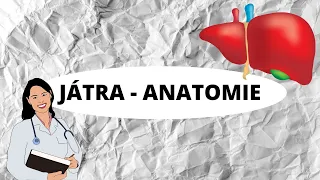 JÁTRA - Anatomie