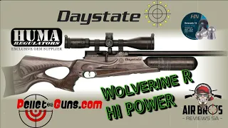 H&N 18,13 @1039Fps DAYSTATE WOLVERINE R (HP) REGULATED