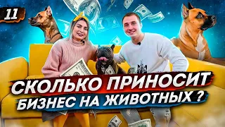 Передержка животных как бизнес. Сервис для животных