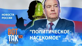 Кому Медведев посвящает свои посты в Телеграме?