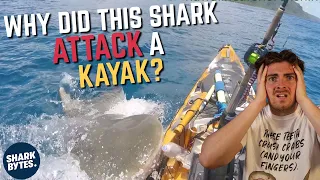 Shark Scientist REACTS to Shark ATTACKS! (5)