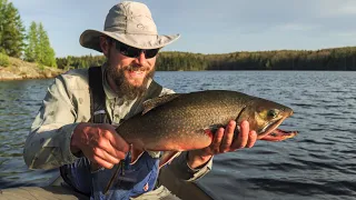 Paddling Algonquin in Search of Brook Trout