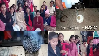 Sulphuric acid And Sugar Reaction experiment with Students in class