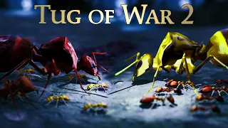 Tug of War 2