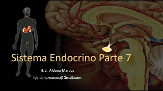 Glándulas endocrinas. Parte 7 de 7. Tiroides. Paratiroides. Pineal. Hernán Aldana.