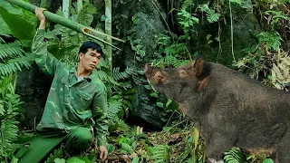 survive alone sniffer dog, wild boar, wild boar attack people, detect bamboo rats, survival instinct