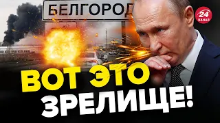 🔥ПЬЯНЫХ: Кремль ШОКИРОВАН! С Белгорода ДРАПАЮТ чиновники?