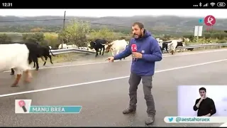 Manu Brea en "A esta hora" de Canal Extremadura TV