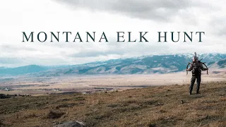 2022 Montana Rifle Elk Hunt
