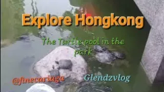 The Beauty Of Chaiwan Park #ExploreHK #The Turtle Pool #ofwlifehk  #fypシ゚viral ##subscribe