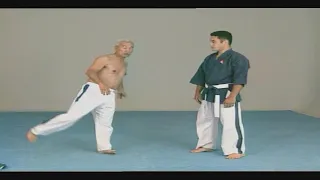 Yoseikan Budo  - Hiroo Mochizuki