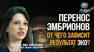 🔴 Перенос эмбрионов. От чего зависит результат ЭКО? Лечение бесплодия в Москве.