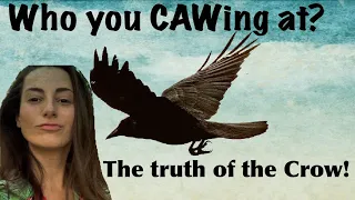 Spiritual Meaning of a Crows Presence