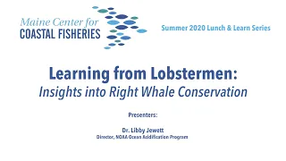 Lunch & Learn: Learning from Lobstermen: Insights into Right Whale Conservation