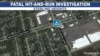 Police search for driver in deadly hit-and-run in Sterling Heights