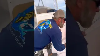 500lb Tuna Barely Fits in the Boat! #offshorefishing #outerbanks #monsterfish