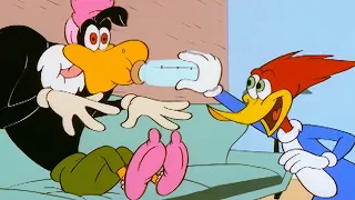 Woody Woodpecker | Woody the Babysitter + More Full Episodes