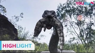 Highlight (Snake Island Python) Ular raksasa dan Buaya raksasa muncul bersamaan! | YOUKU [INDO SUB]