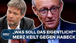 FRIEDRICH MERZ: "Was soll das eigentlich!" CDU-Chef wütet gegen den Plan von Habeck