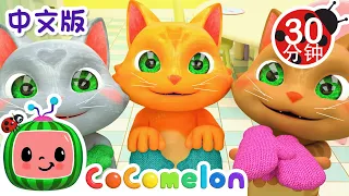 三只小猫 | 大合集 | 經典熱門兒歌 | Kids Song | 動畫 | 童謠 | 儿童学习 | 卡通片 | CoComelon 中文 | Nursery Rhymes