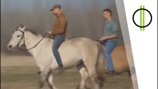 Nomád lovasok Magyarországon
