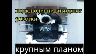 Как подключить интернет розетку legrand своими руками-правильное подключение