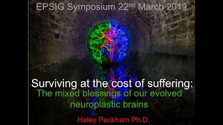 Surviving at the cost of suffering: The mixed blessings or our evolved neuroplastic brains