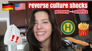 Germany to America REVERSE Culture Shocks (America is WEIRD now)