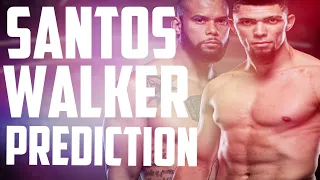 ТИАГО САНТОС - ДЖОННИ УОКЕР | АНАЛИТИКА И ПРОГНОЗ НА UFC FIGHT NIGHT: SANTOS VS. WALKER | MMABETS