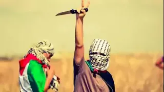 أعلنها الفلسطيني...أتحداك ماتبكي على فلسطين 🇵🇸🇵🇸🥺
