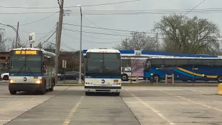 MTA Bus | Bus Action @ Eltingville Transit Center