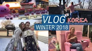 VLOG Korea / Почему мы не попали на концерт BTS?